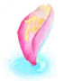 Pétale
